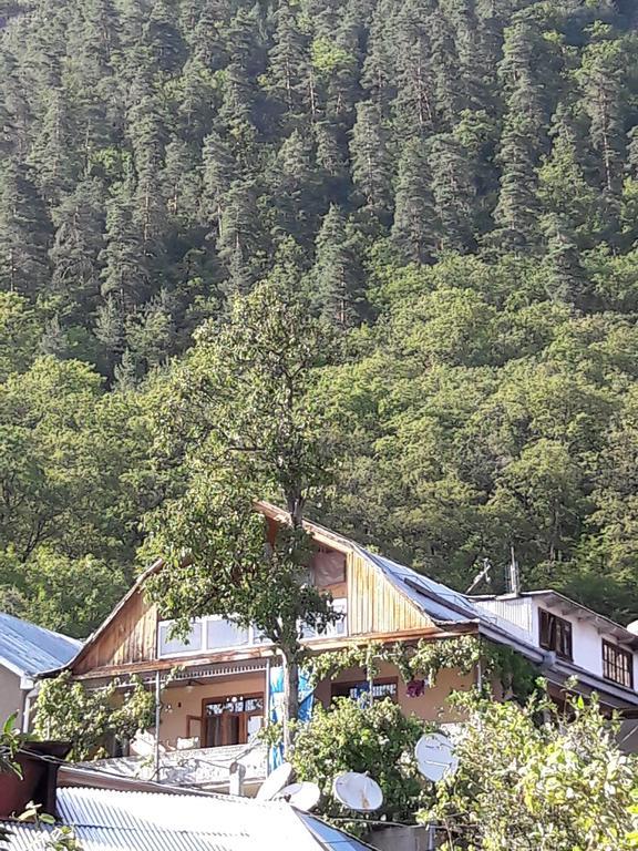 Rachvela'S Guest House Borjomi Exterior foto